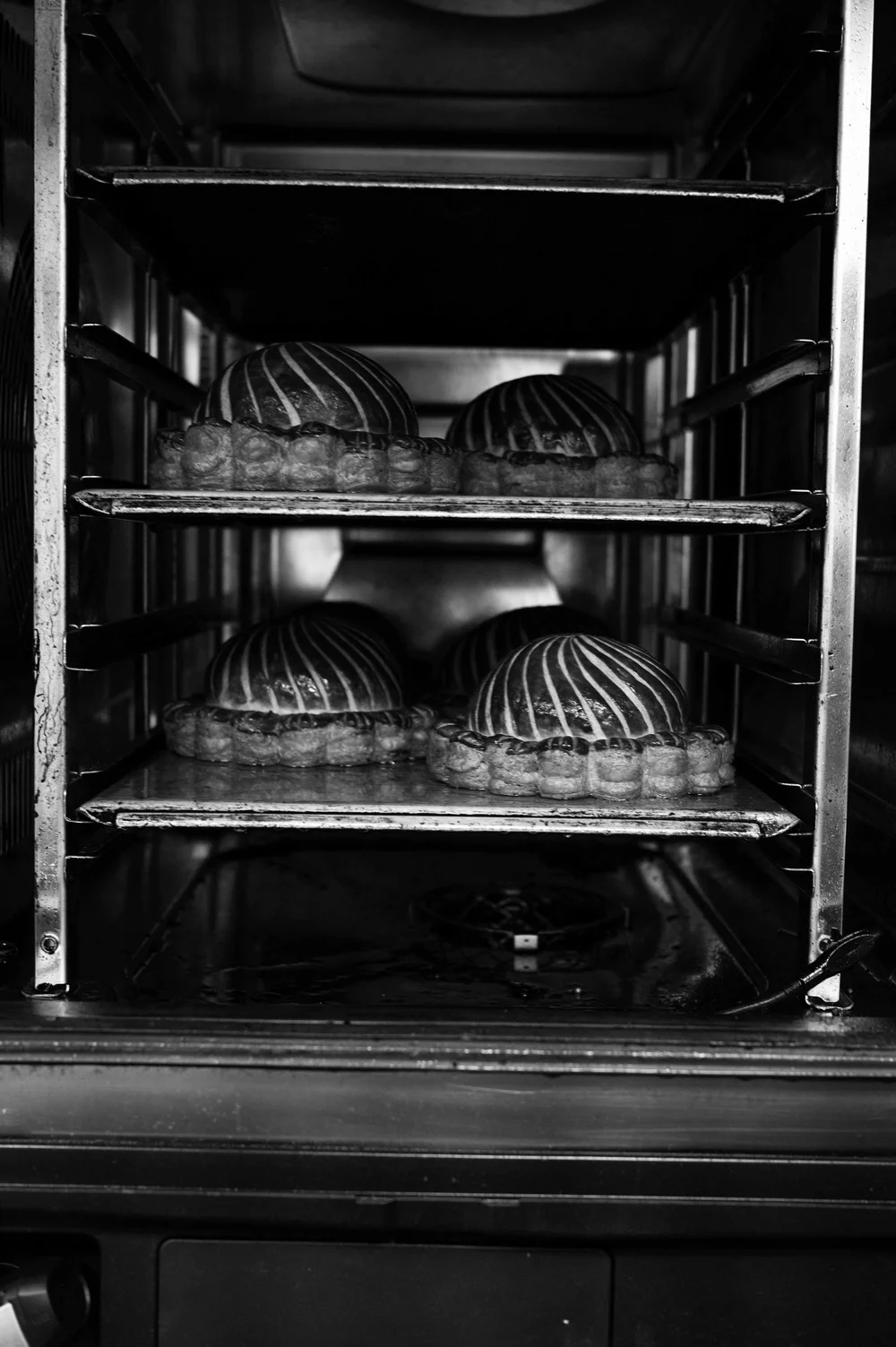 Le Chêne, New York : photographie de Jordan Sapally (78/91)