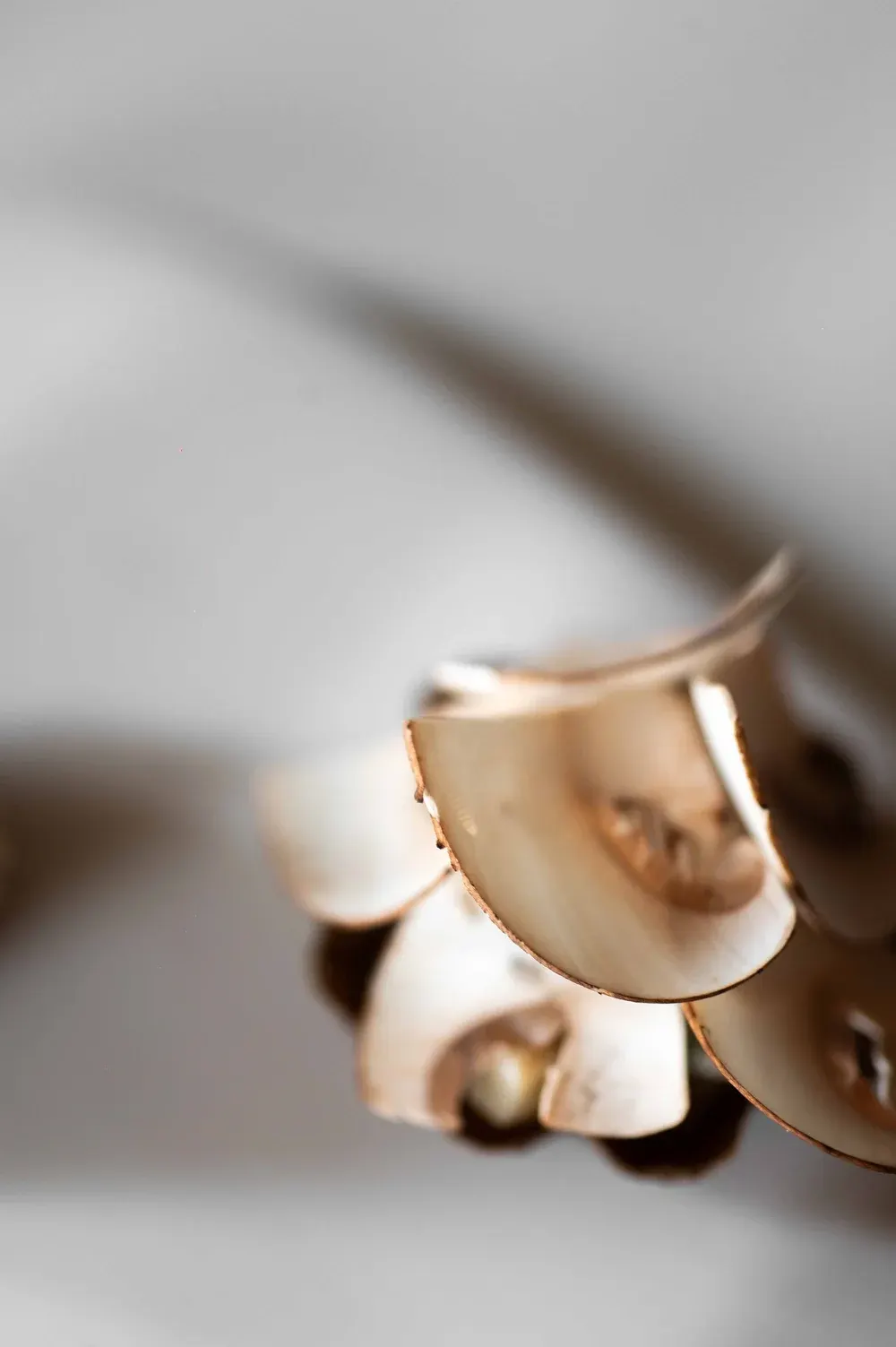 Le Meurice x Tantris, Paris : photographie de Jordan Sapally (4/42)