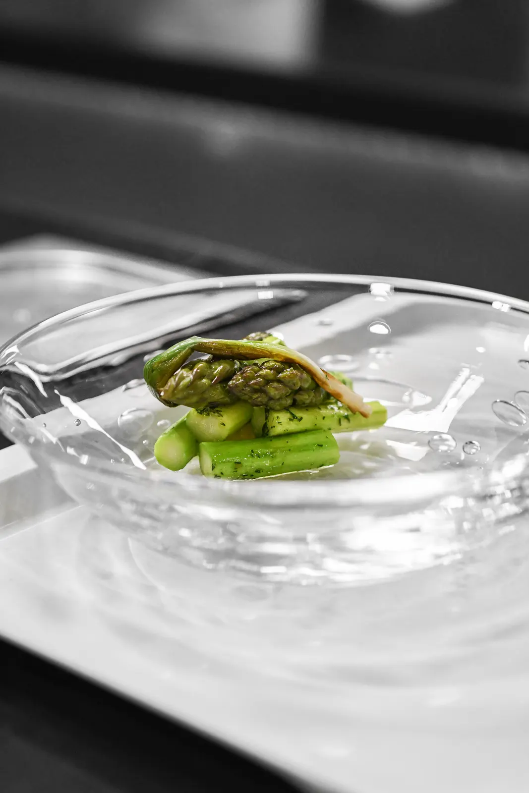 Le Meurice, Paris : photographie de Jordan Sapally (105/162)