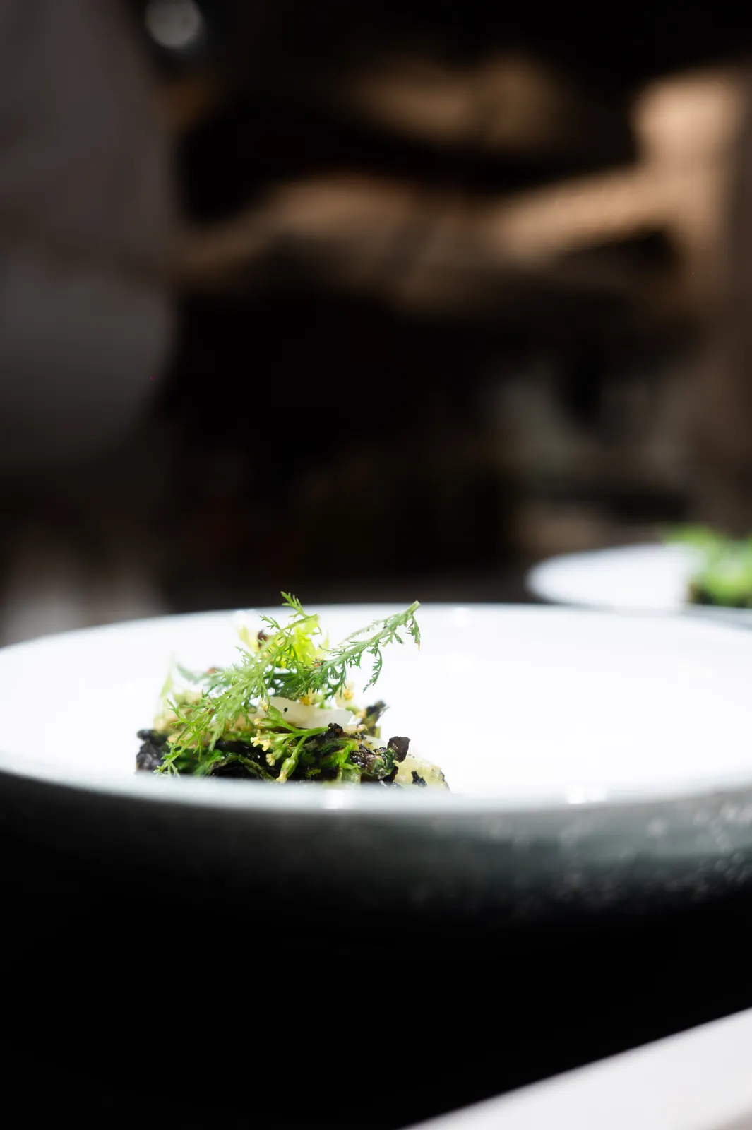 Le Meurice, Paris : photographie de Jordan Sapally (88/162)