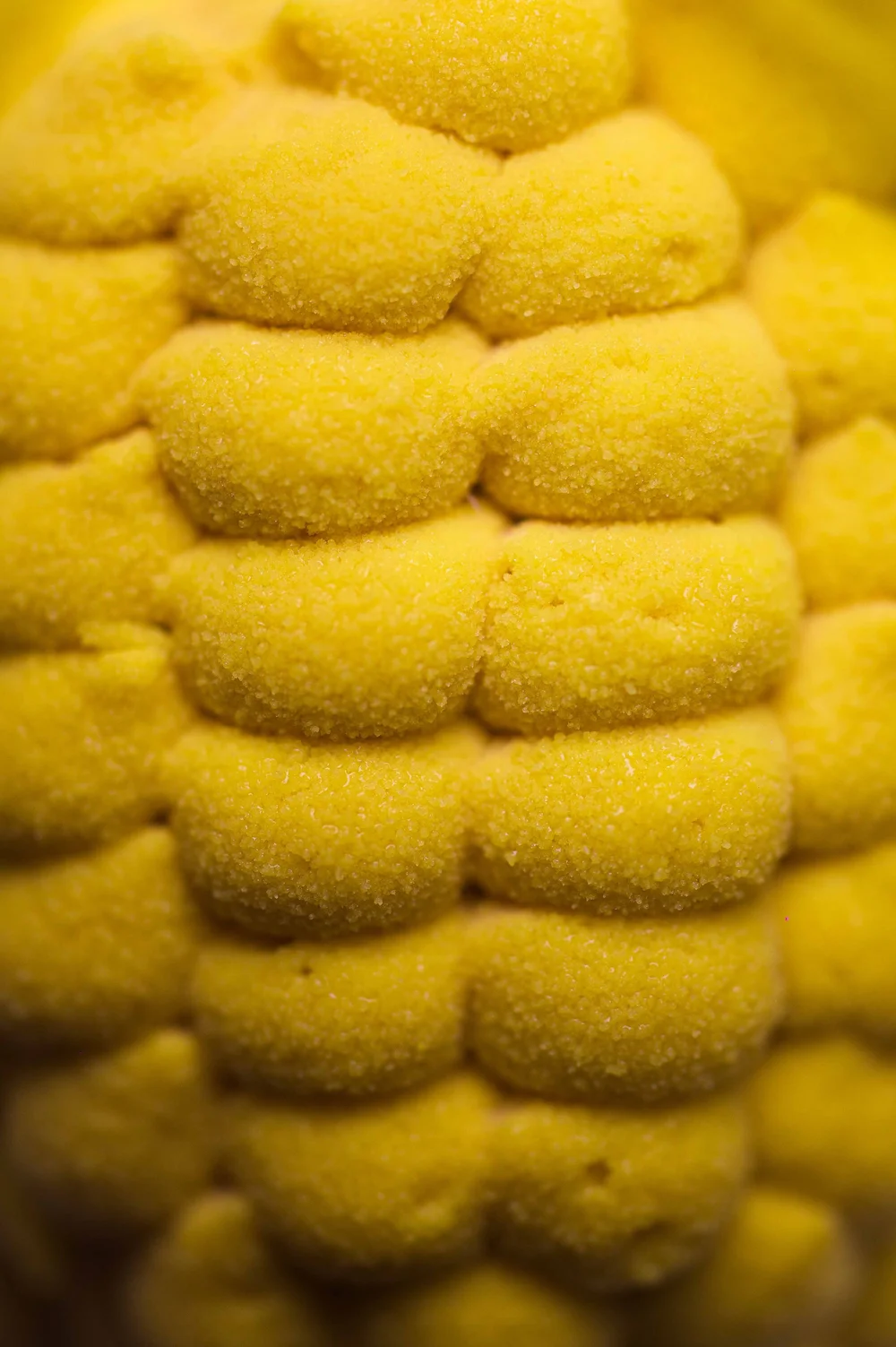 Lysée, New York : photographie de Jordan Sapally (12/54)