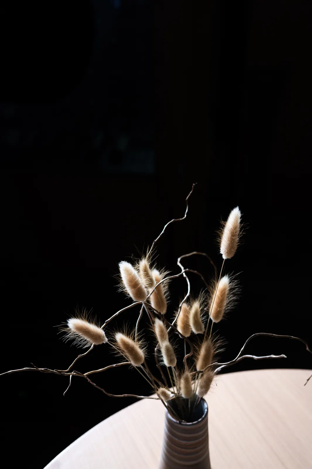 Mertensia, Lyon : photographie de Jordan Sapally (110/112)