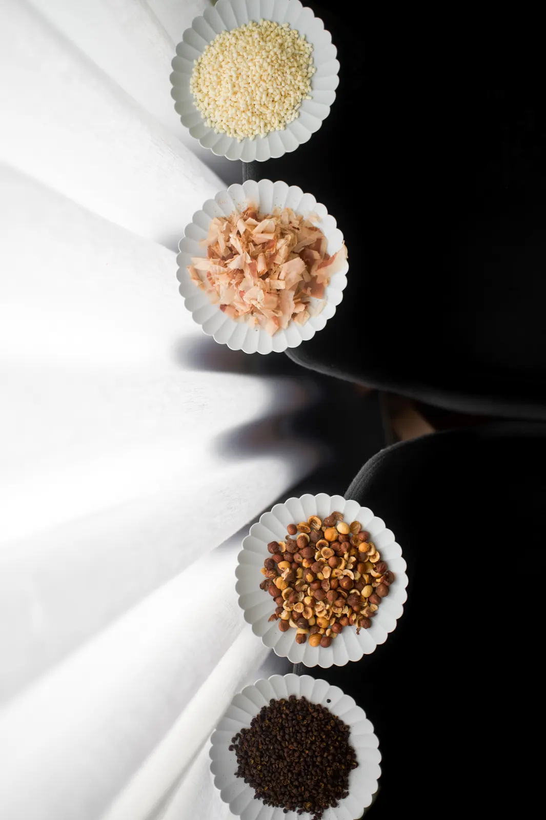 Mertensia, Lyon : photographie de Jordan Sapally (17/112)