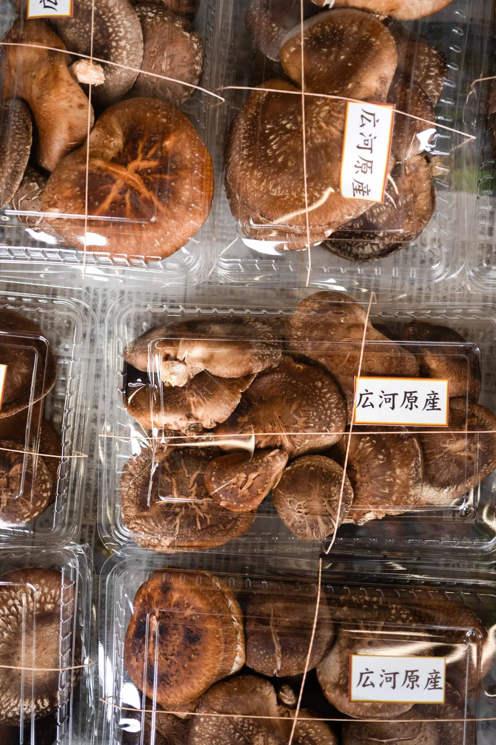 Moko, Kyoto : photographie de Jordan Sapally (14/77)