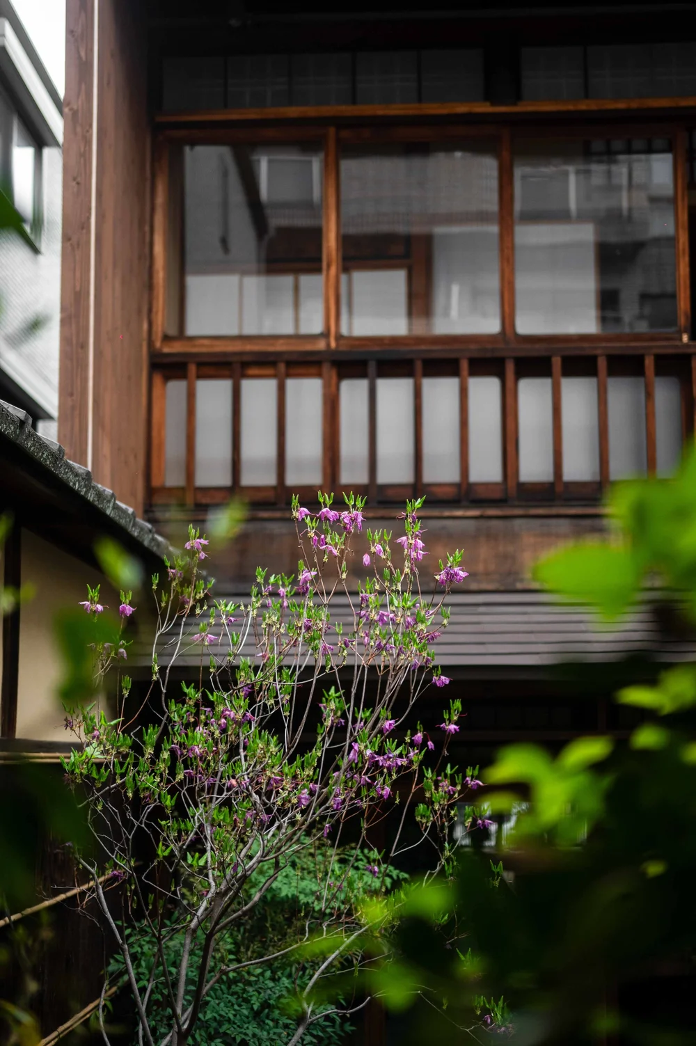 Moko, Kyoto : photographie de Jordan Sapally (28/77)