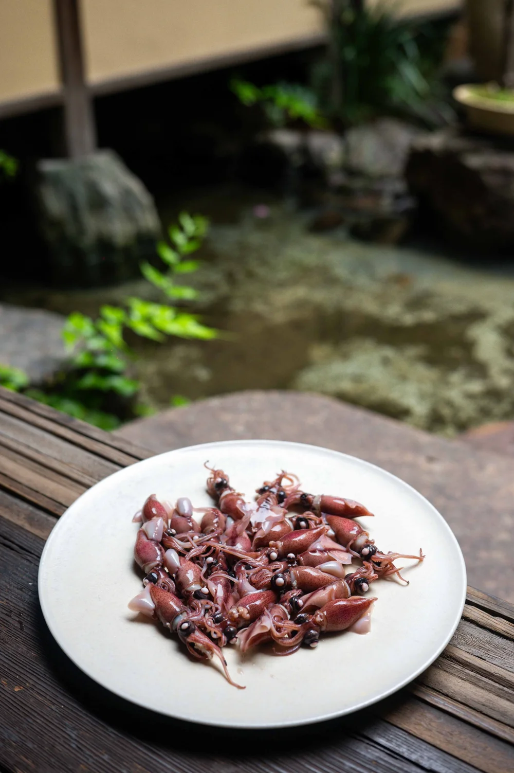 Moko, Kyoto : photographie de Jordan Sapally (47/77)