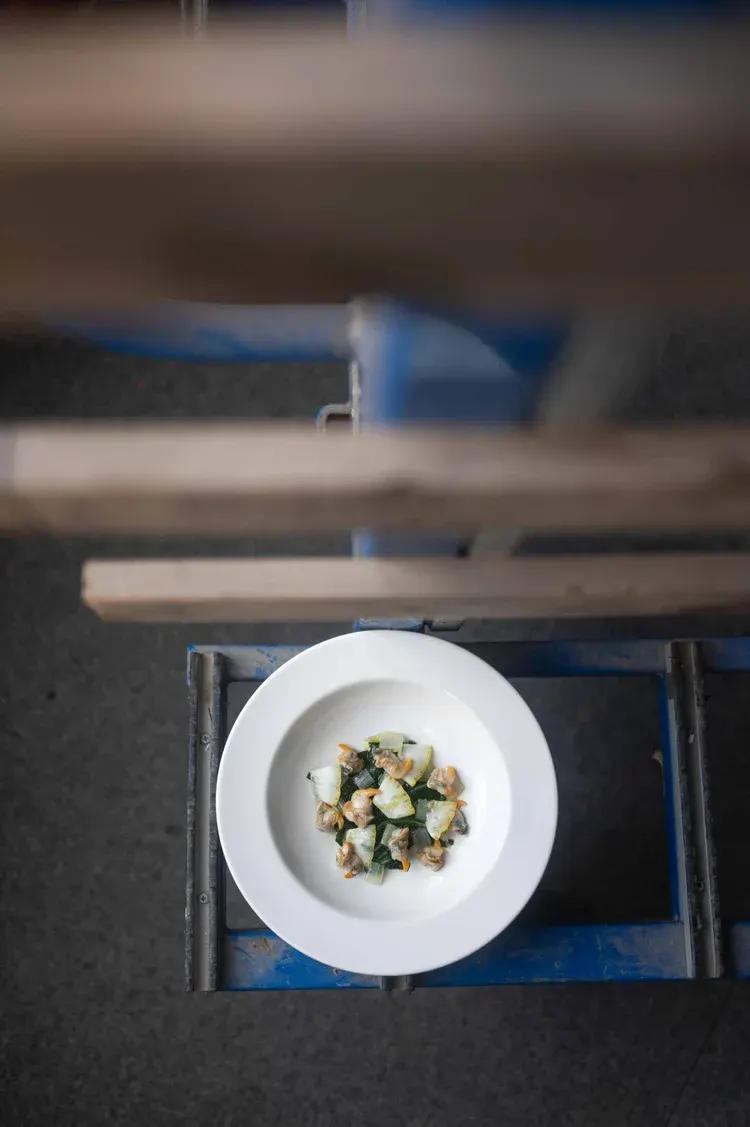 Passages, Rennes : photographie de Jordan Sapally (26/43)