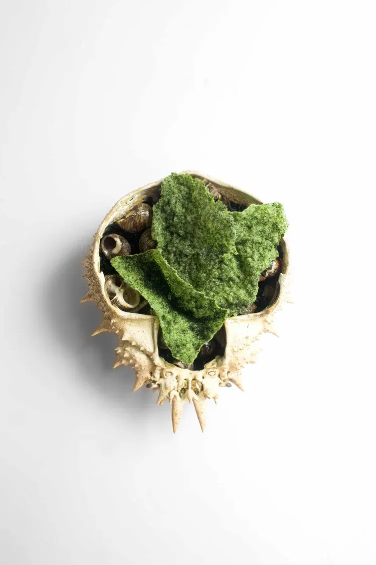 Ronan Kervarrec, Rennes : photographie de Jordan Sapally (48/77)