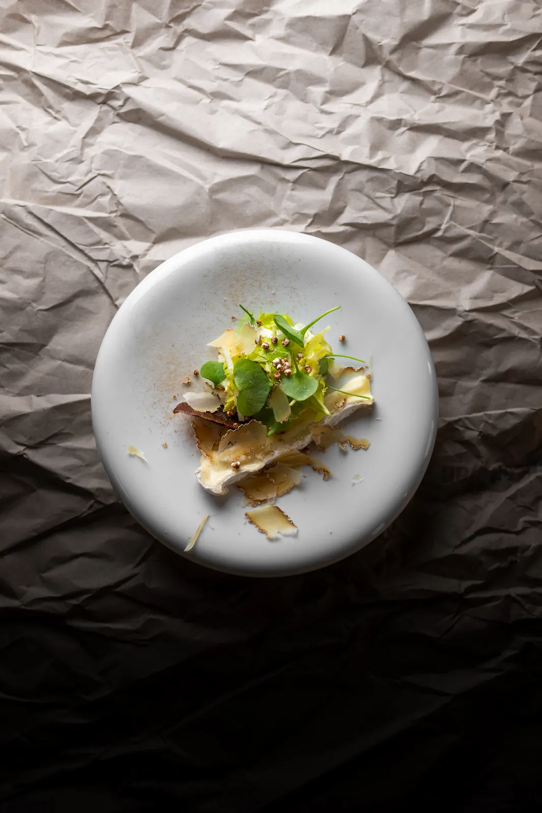 Rozo, Lille : photographie de Jordan Sapally (107/113)