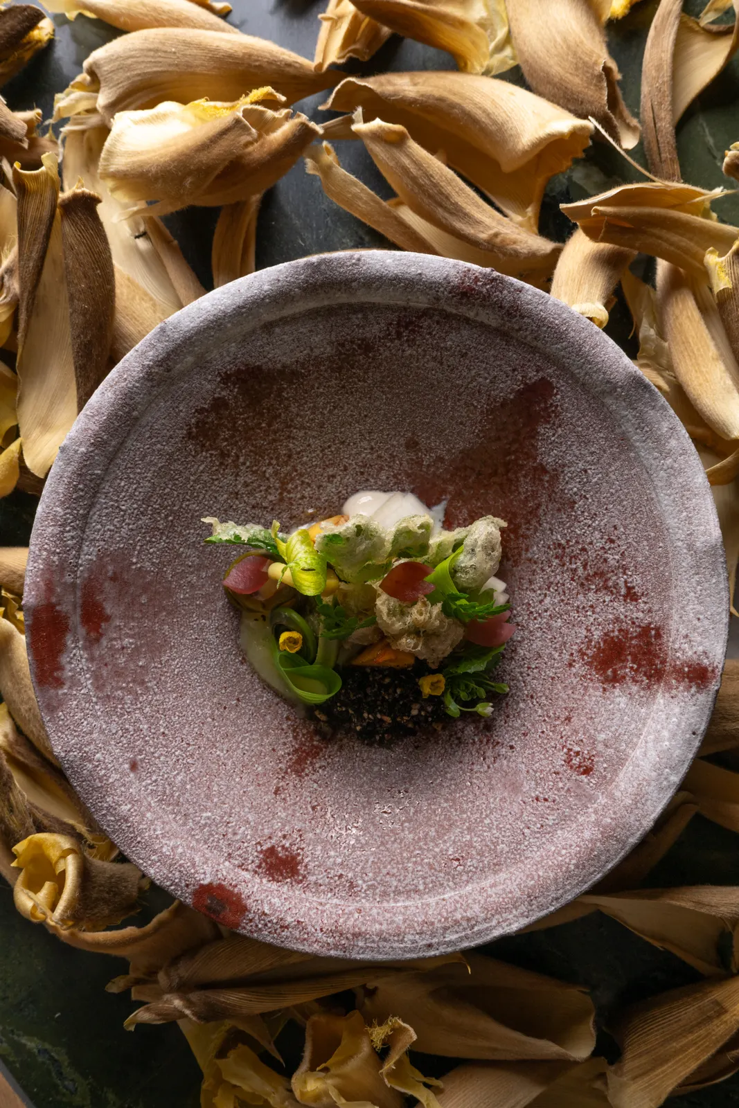 Sonoma (Capella Kyoto): photograph by Jordan Sapally (17/106)