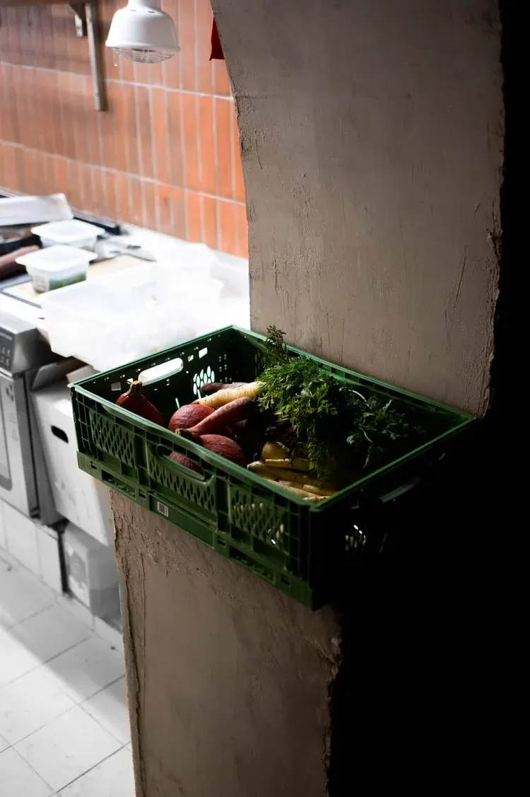 Vivide, Paris : photographie de Jordan Sapally (7/80)