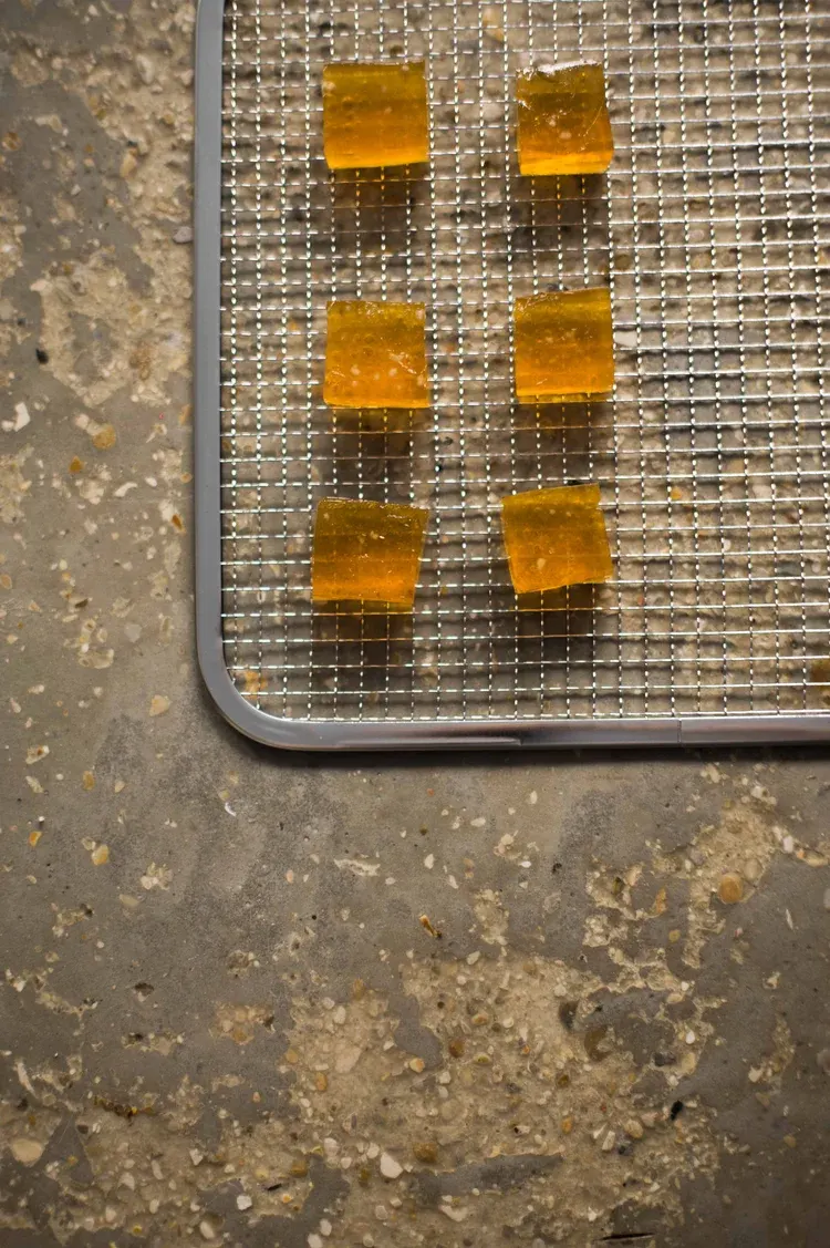 Vivide, Paris : photographie de Jordan Sapally (8/80)