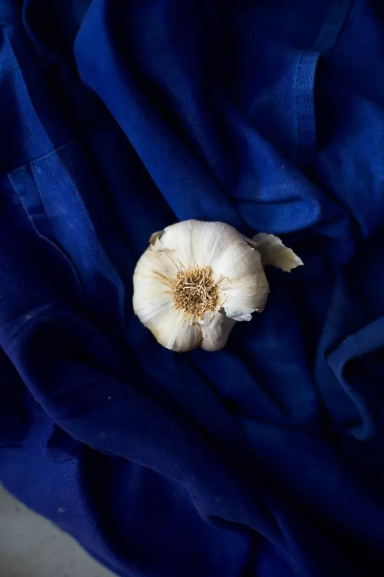 Vivide, Paris : photographie de Jordan Sapally (31/80)