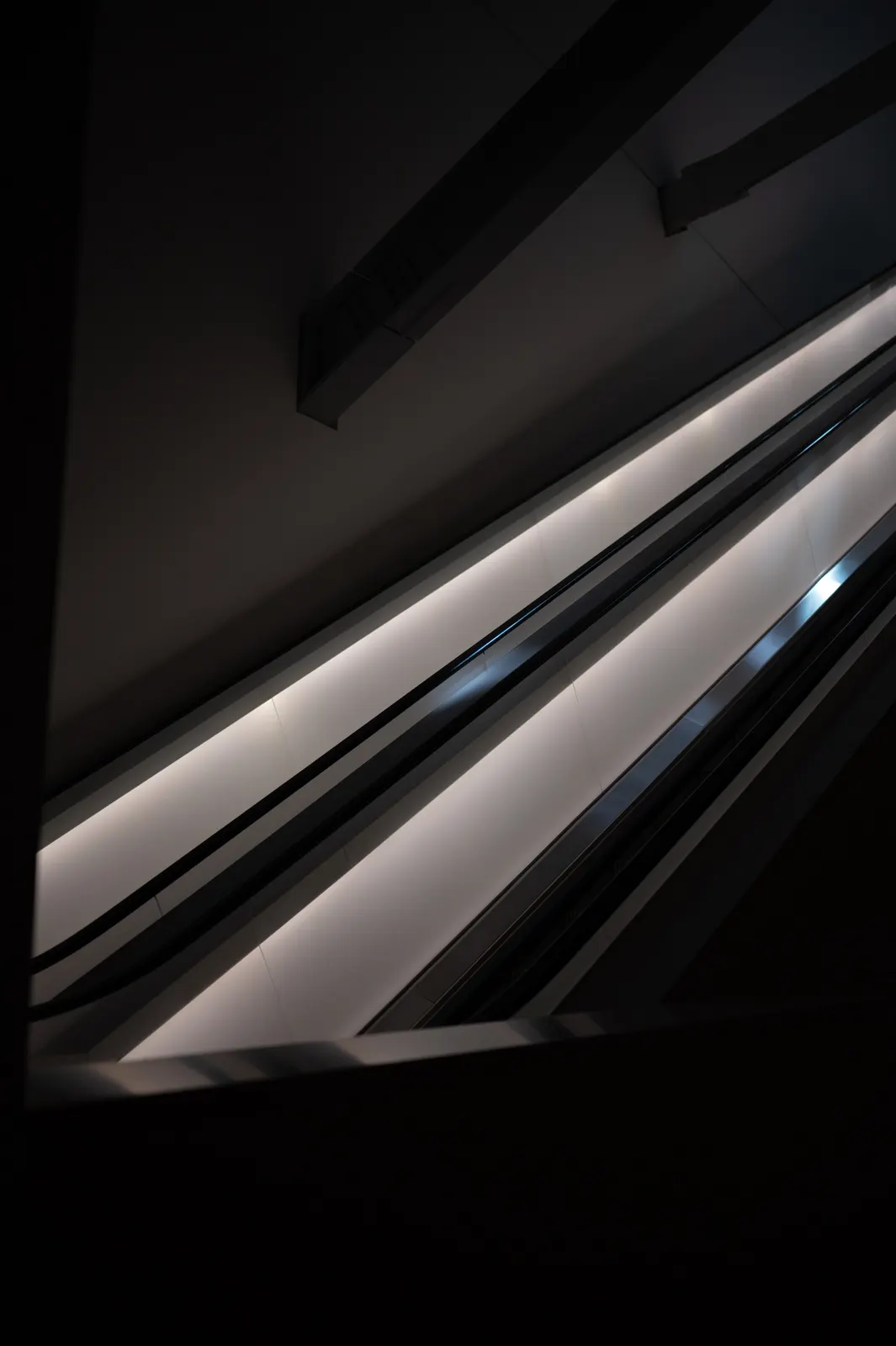 Fondation Vuitton, Paris : photographie de Jordan Sapally (4/49)