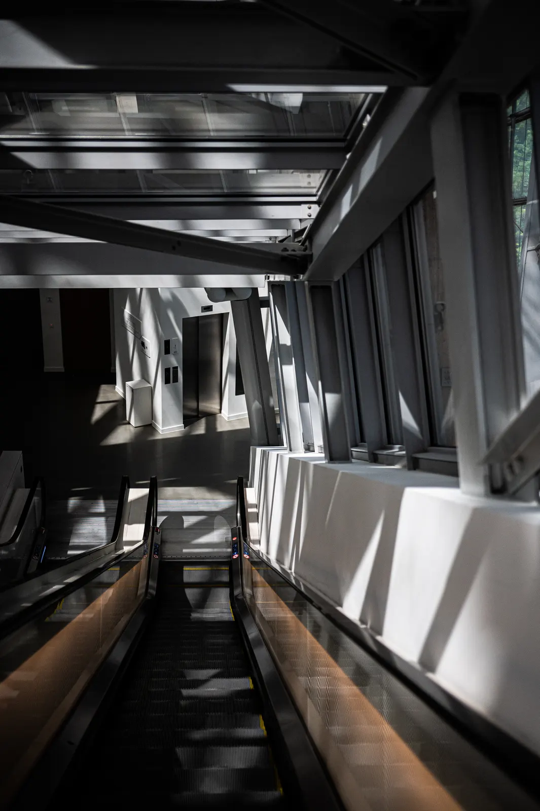 Fondation Vuitton, Paris : photographie de Jordan Sapally (20/49)