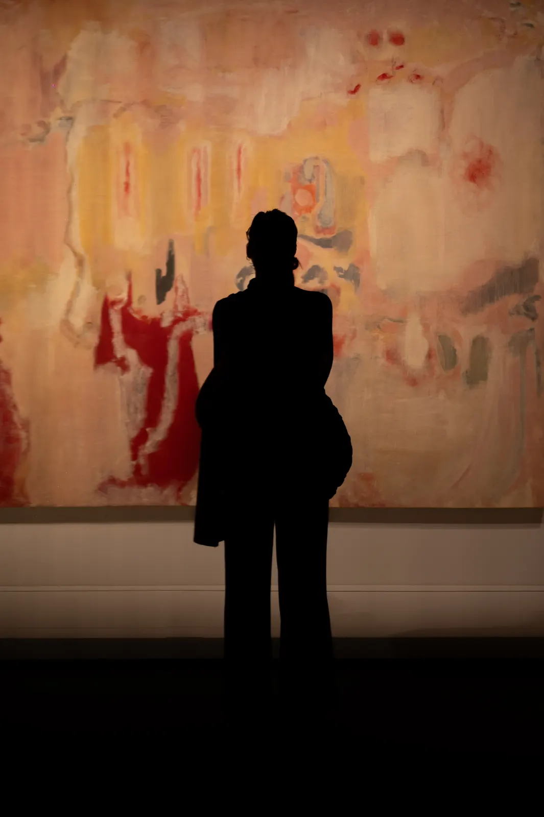 Fondation Vuitton, Paris : photographie de Jordan Sapally (27/49)