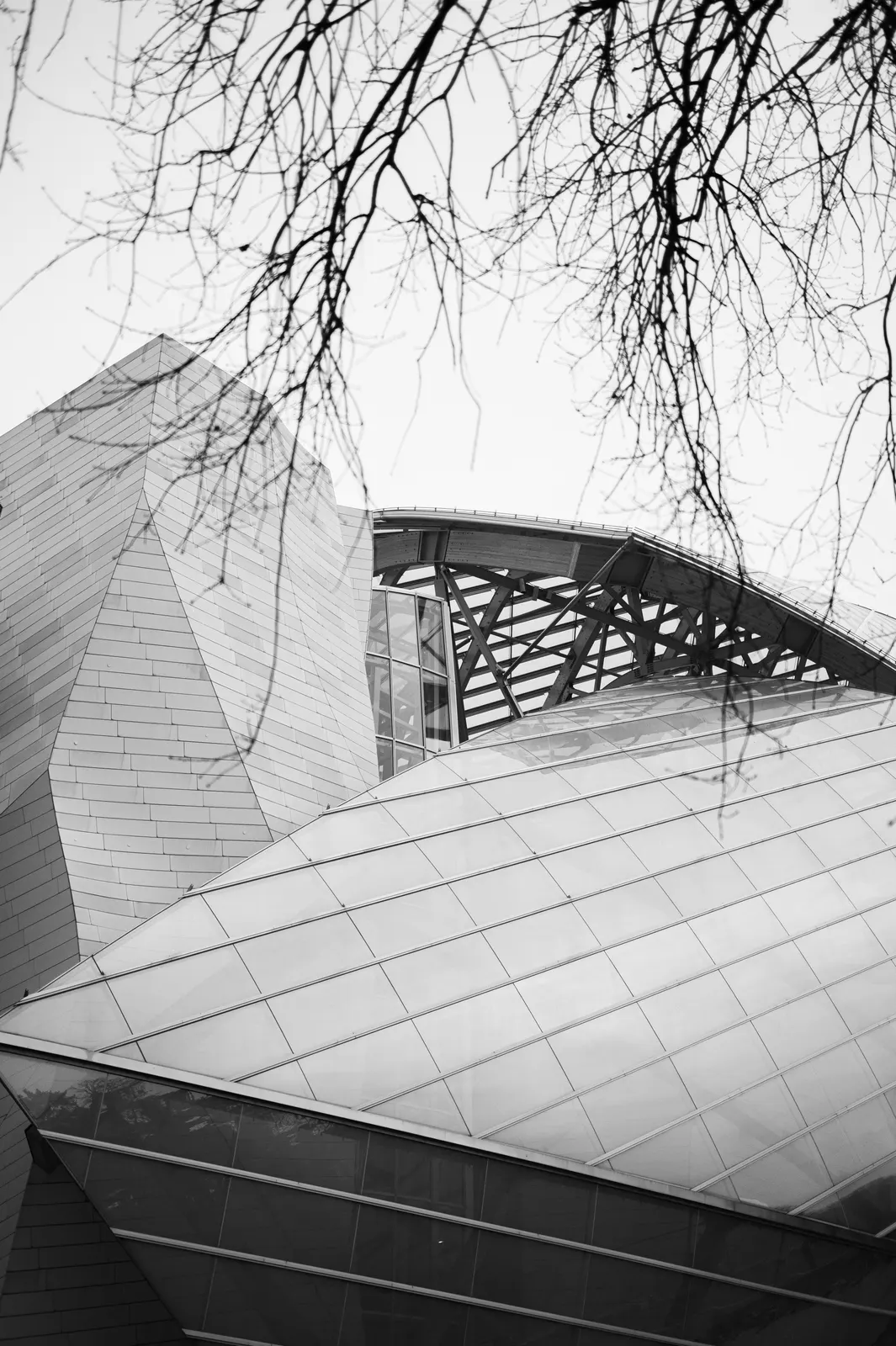 Fondation Vuitton, Paris : photographie de Jordan Sapally (49/49)