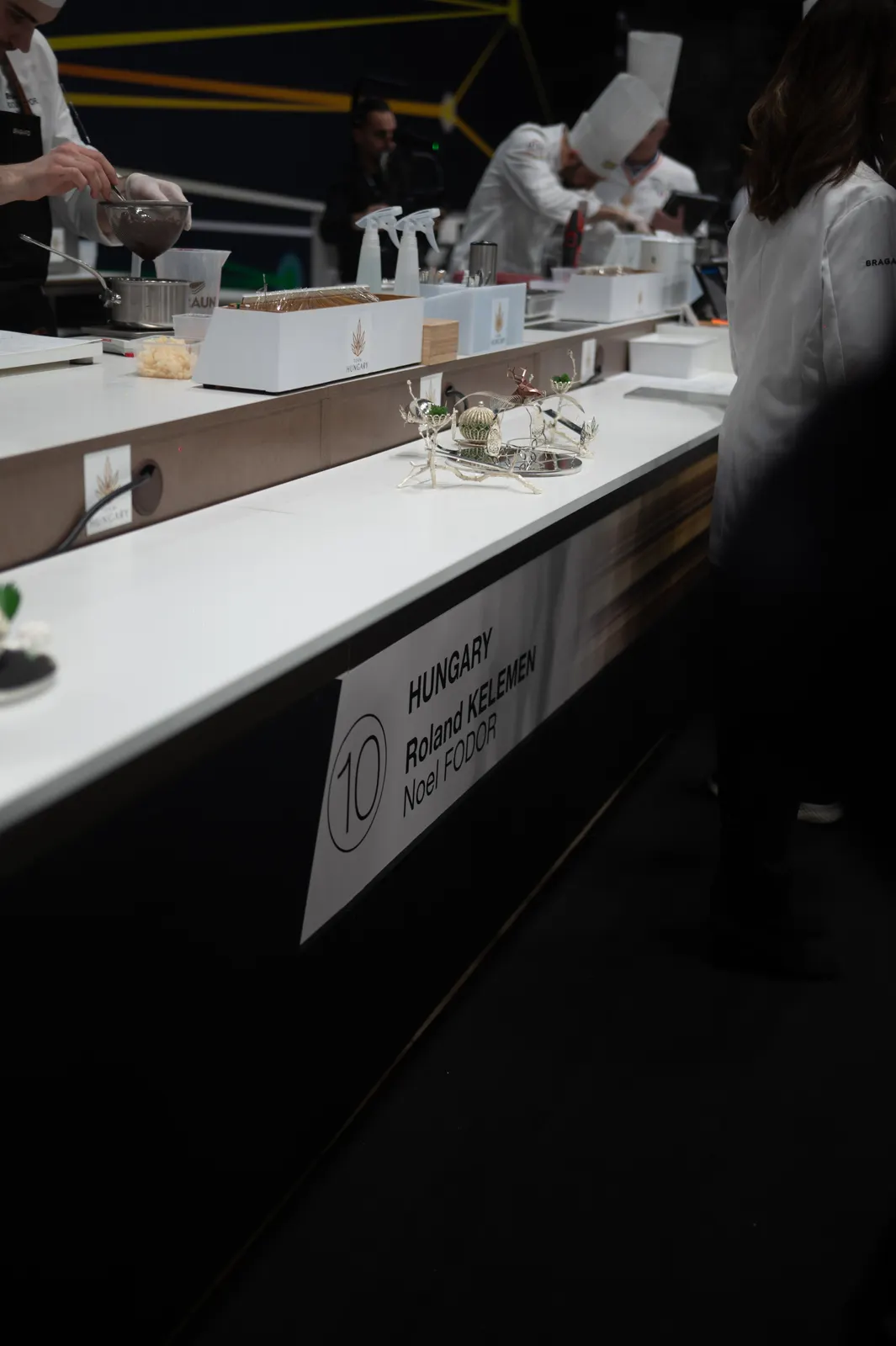 Sirha 2025, Lyon : photographie de Jordan Sapally (35/112)