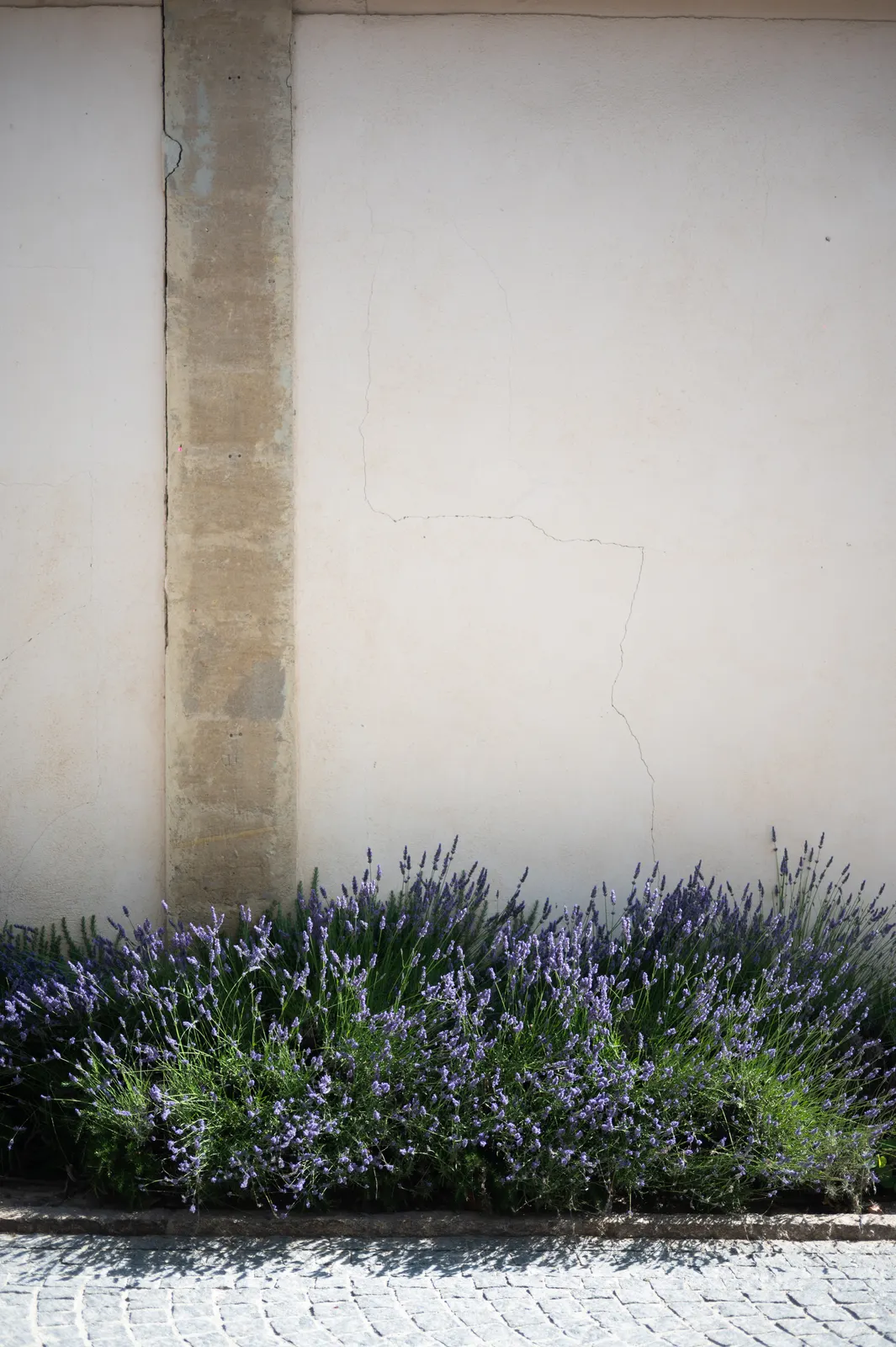 Zwiesel Workshop, Avignon: photograph by Jordan Sapally (5/146)