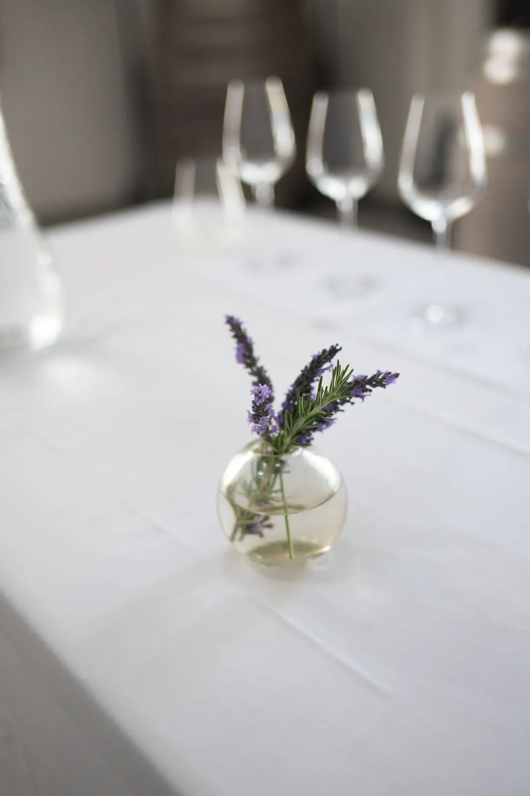 Zwiesel Workshop, Avignon: photograph by Jordan Sapally (6/146)