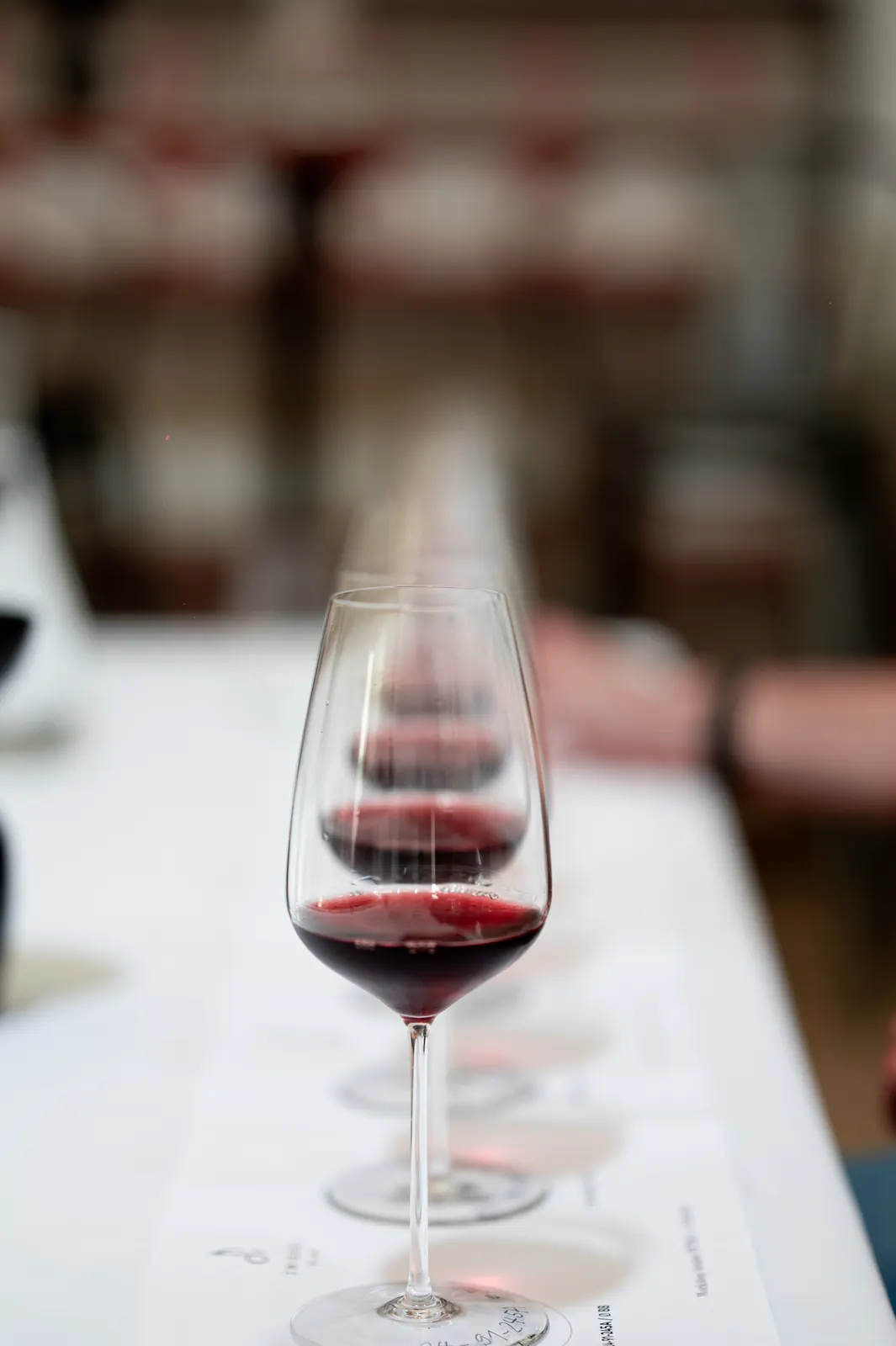 Zwiesel Workshop, Avignon: photograph by Jordan Sapally (110/146)