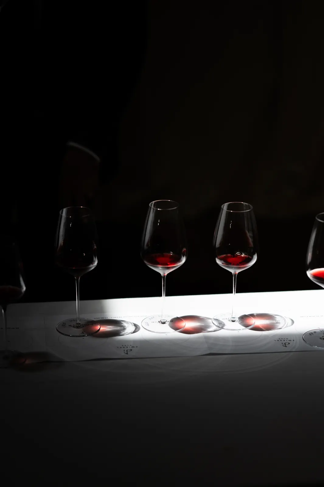 Zwiesel Workshop, Avignon: photograph by Jordan Sapally (123/146)