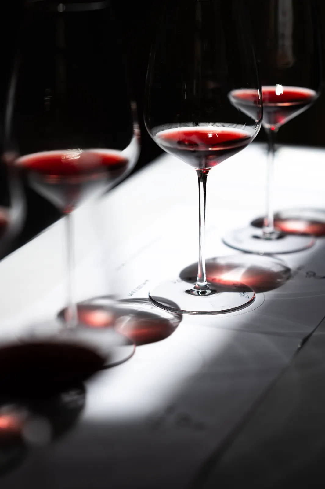 Zwiesel Workshop, Avignon: photograph by Jordan Sapally (126/146)