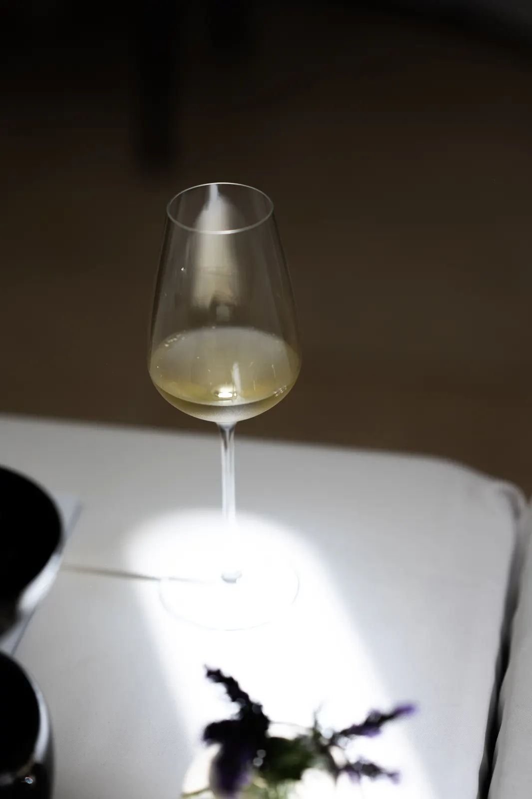 Zwiesel Workshop, Avignon: photograph by Jordan Sapally (16/146)