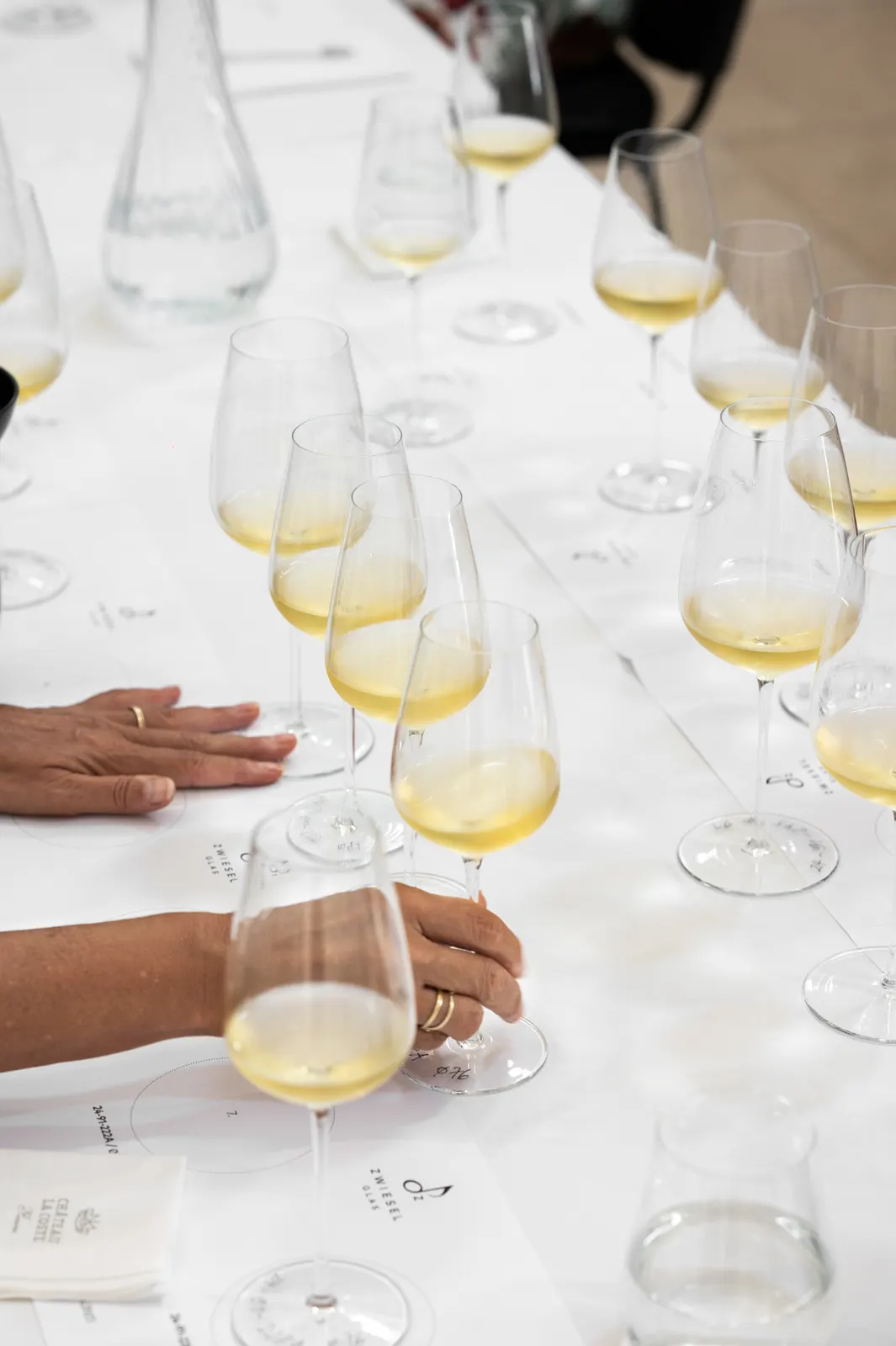 Zwiesel Workshop, Avignon: photograph by Jordan Sapally (17/146)