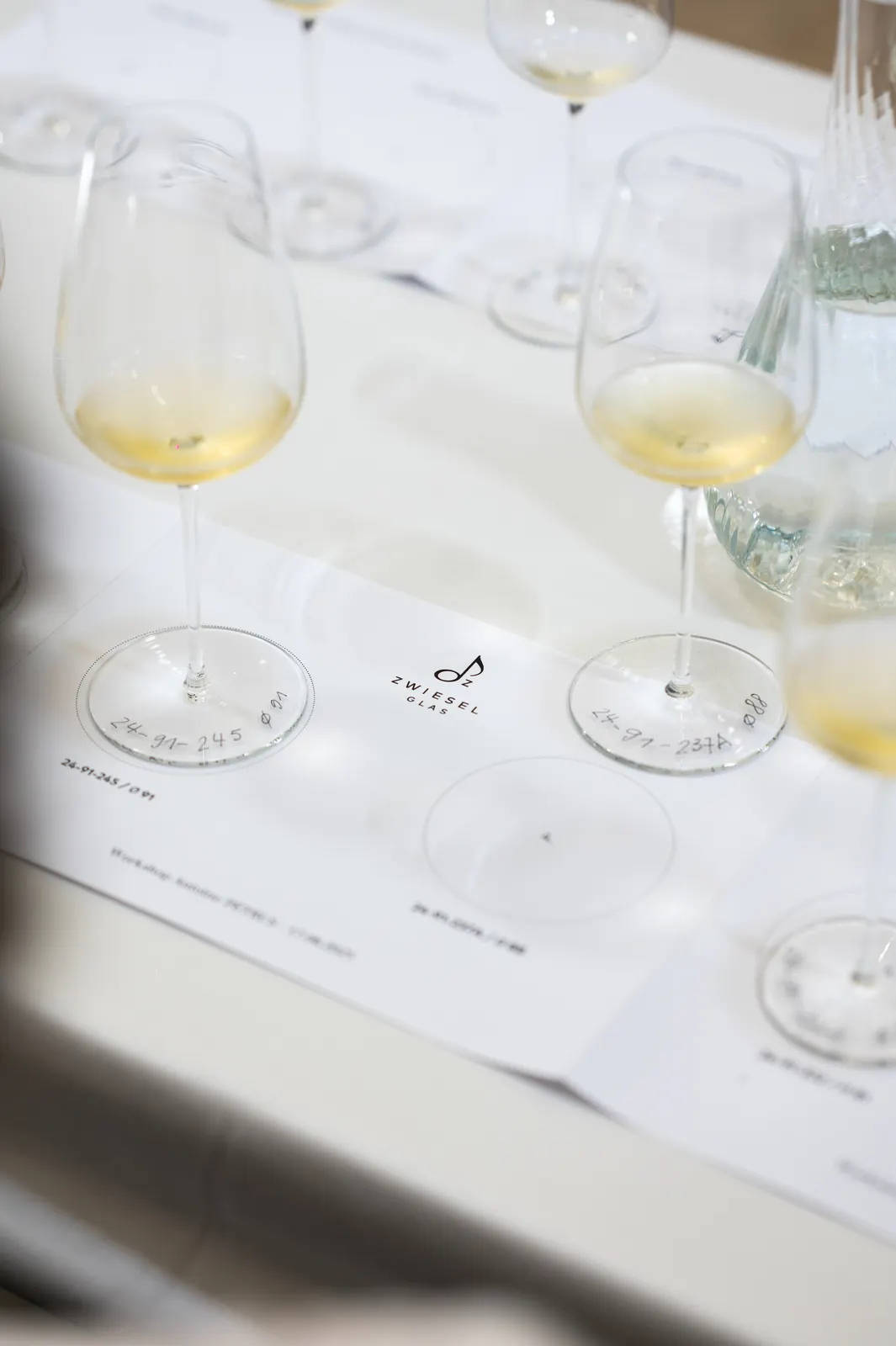 Zwiesel Workshop, Avignon: photograph by Jordan Sapally (22/146)