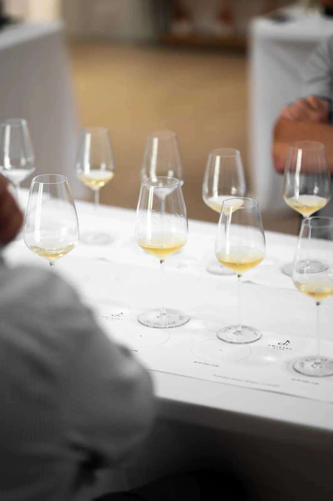 Zwiesel Workshop, Avignon: photograph by Jordan Sapally (25/146)
