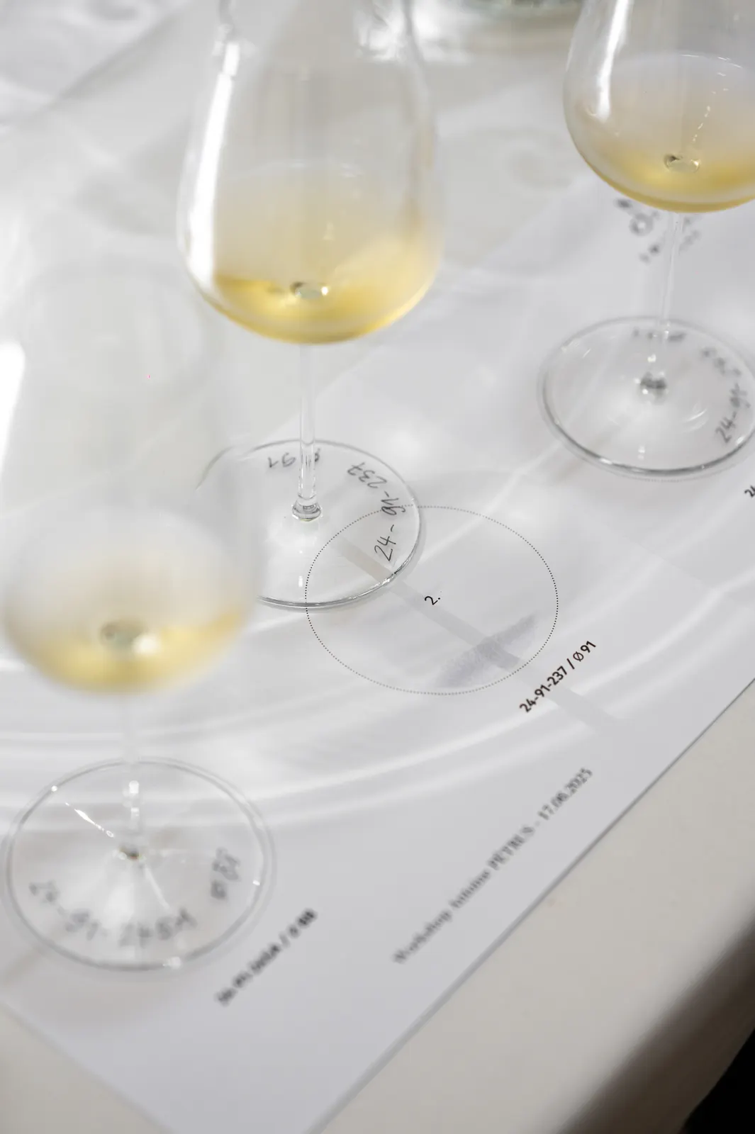 Zwiesel Workshop, Avignon: photograph by Jordan Sapally (33/146)