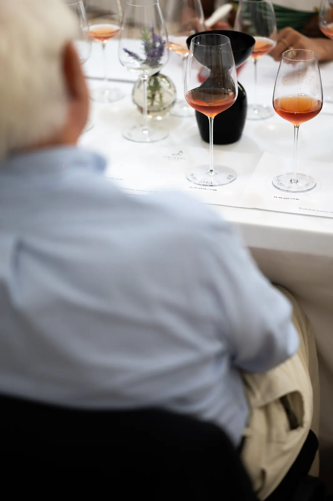 Zwiesel Workshop, Avignon: photograph by Jordan Sapally (64/146)
