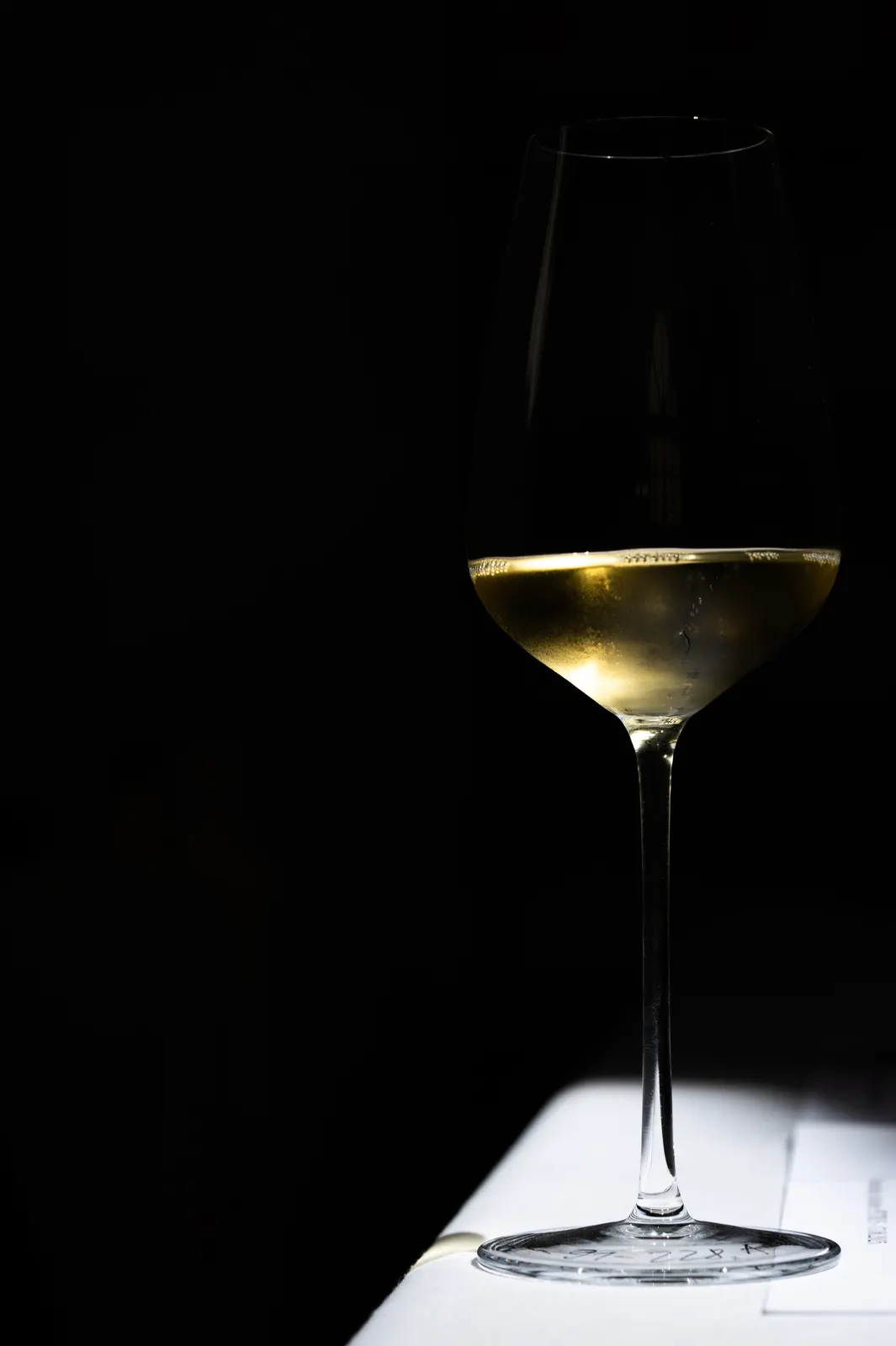 Zwiesel Workshop, Avignon: photograph by Jordan Sapally (76/146)