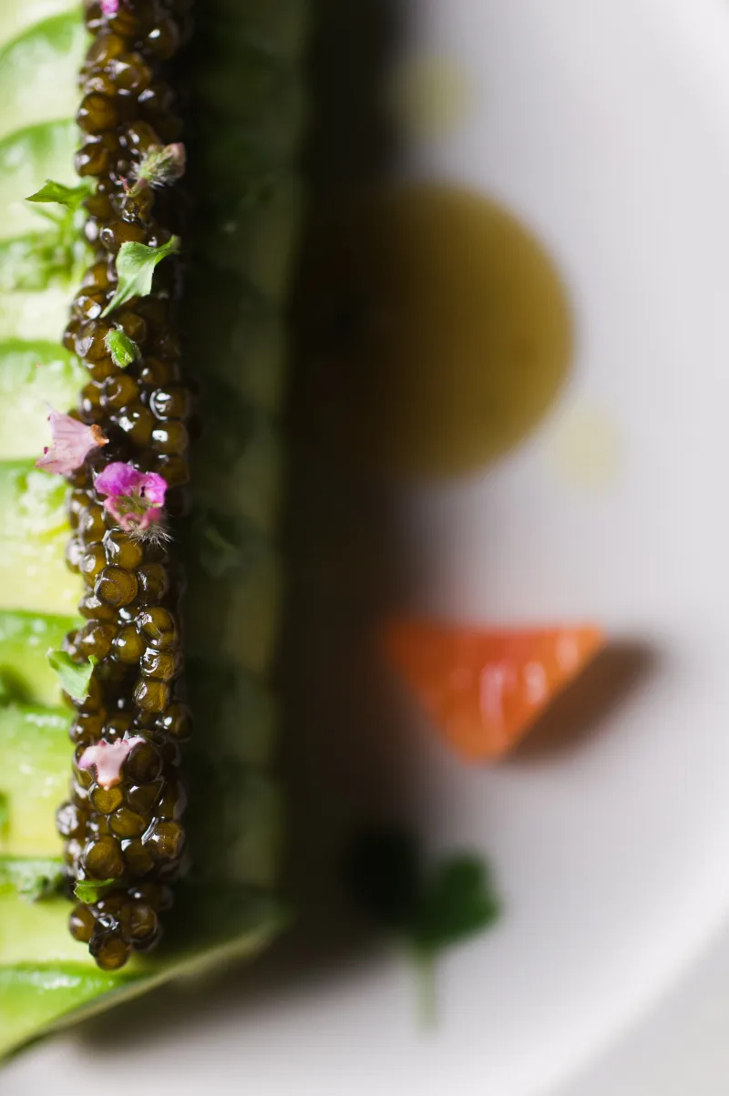 Détail macro de caviar sur légume, fleurs comestibles