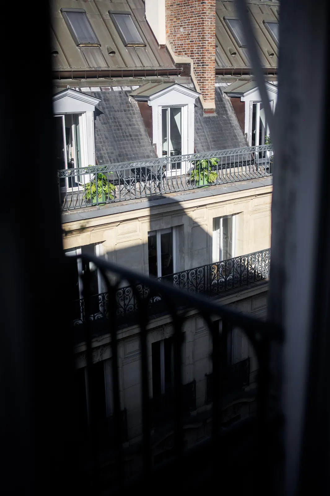 Burgundy, Paris : photographie de Jordan Sapally (31/161)