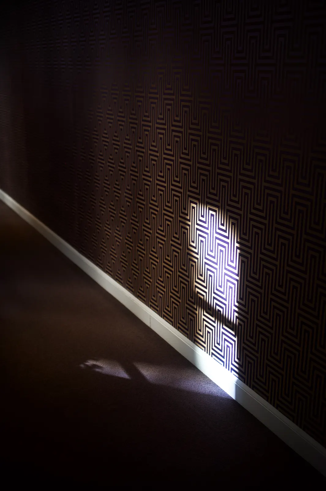 Burgundy, Paris : photographie de Jordan Sapally (56/161)