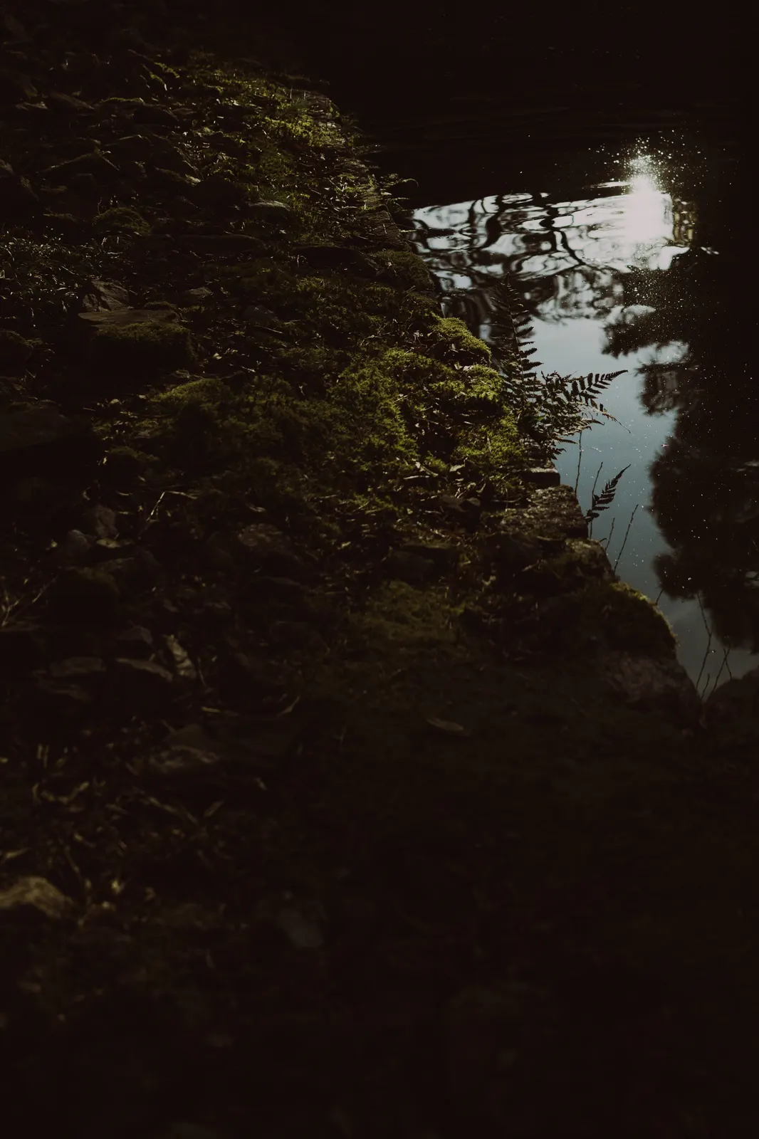 Capella Kyoto : photographie de Jordan Sapally (35/136)