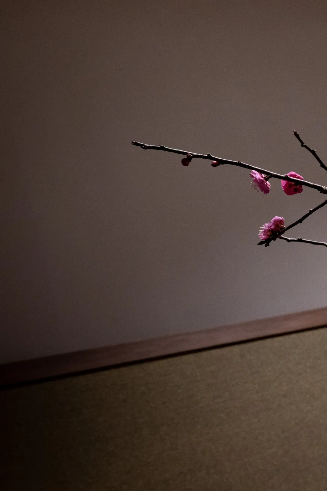 Capella Kyoto : photographie de Jordan Sapally (80/136)