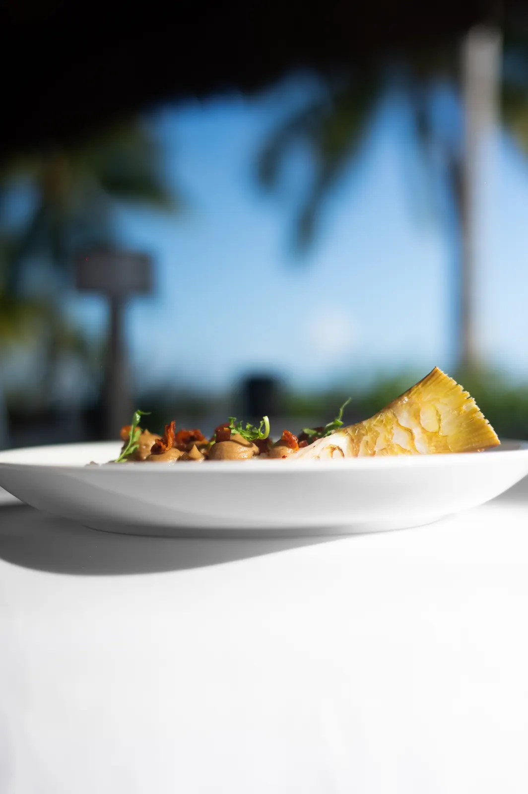 Four Seasons Bora Bora : photographie de Jordan Sapally (35/89)
