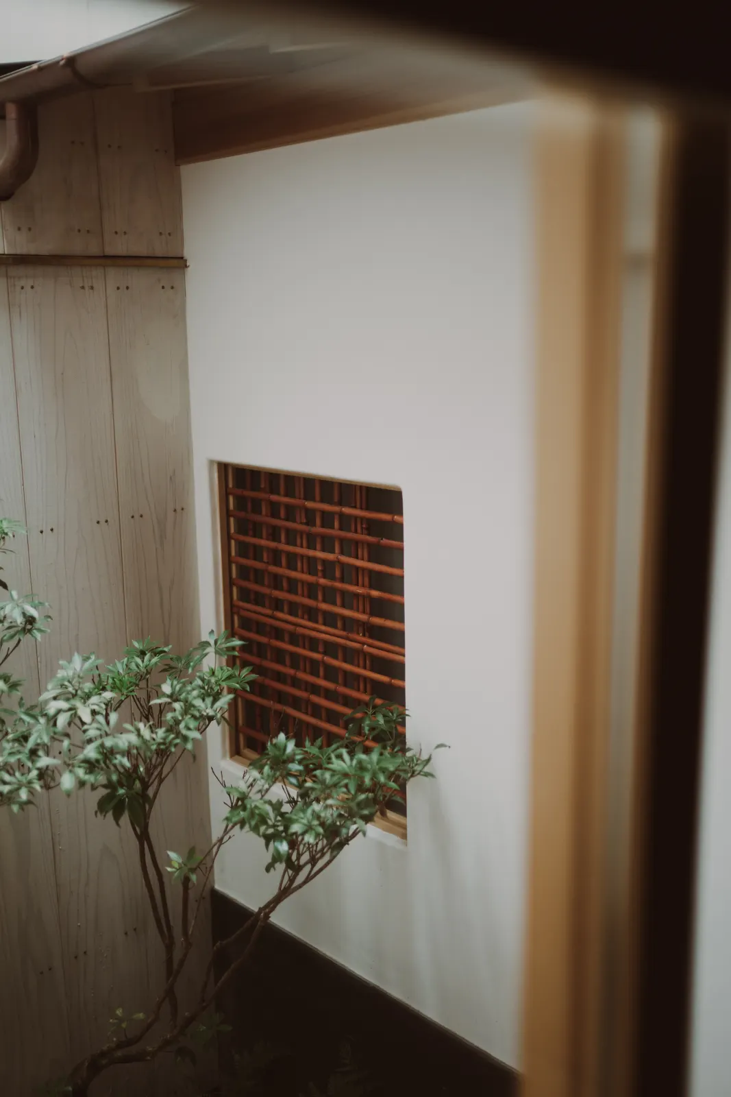 Genji Kyoto : photographie de Jordan Sapally (145/145)