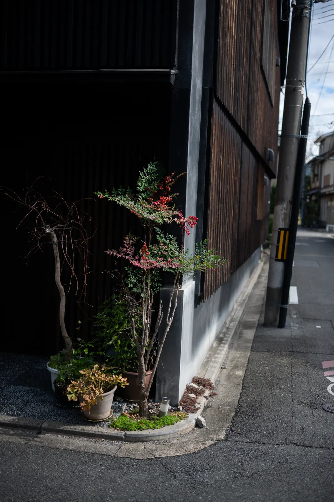 Genji Kyoto : photographie de Jordan Sapally (22/145)