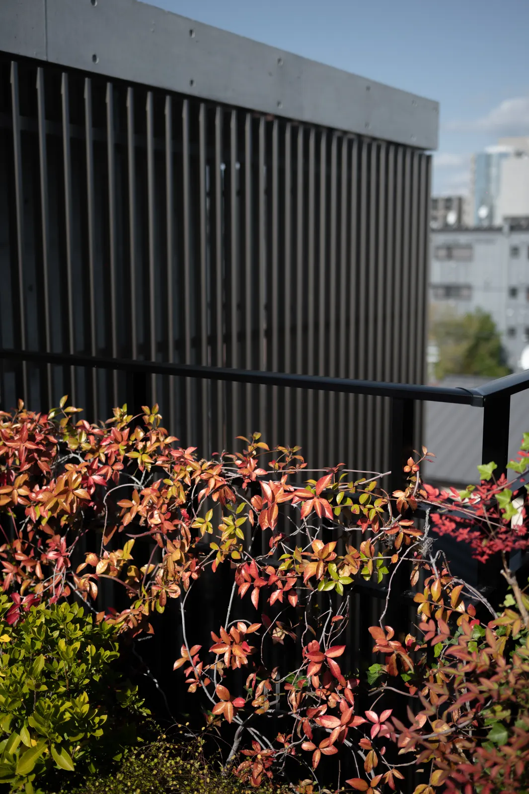 Genji Kyoto : photographie de Jordan Sapally (41/145)