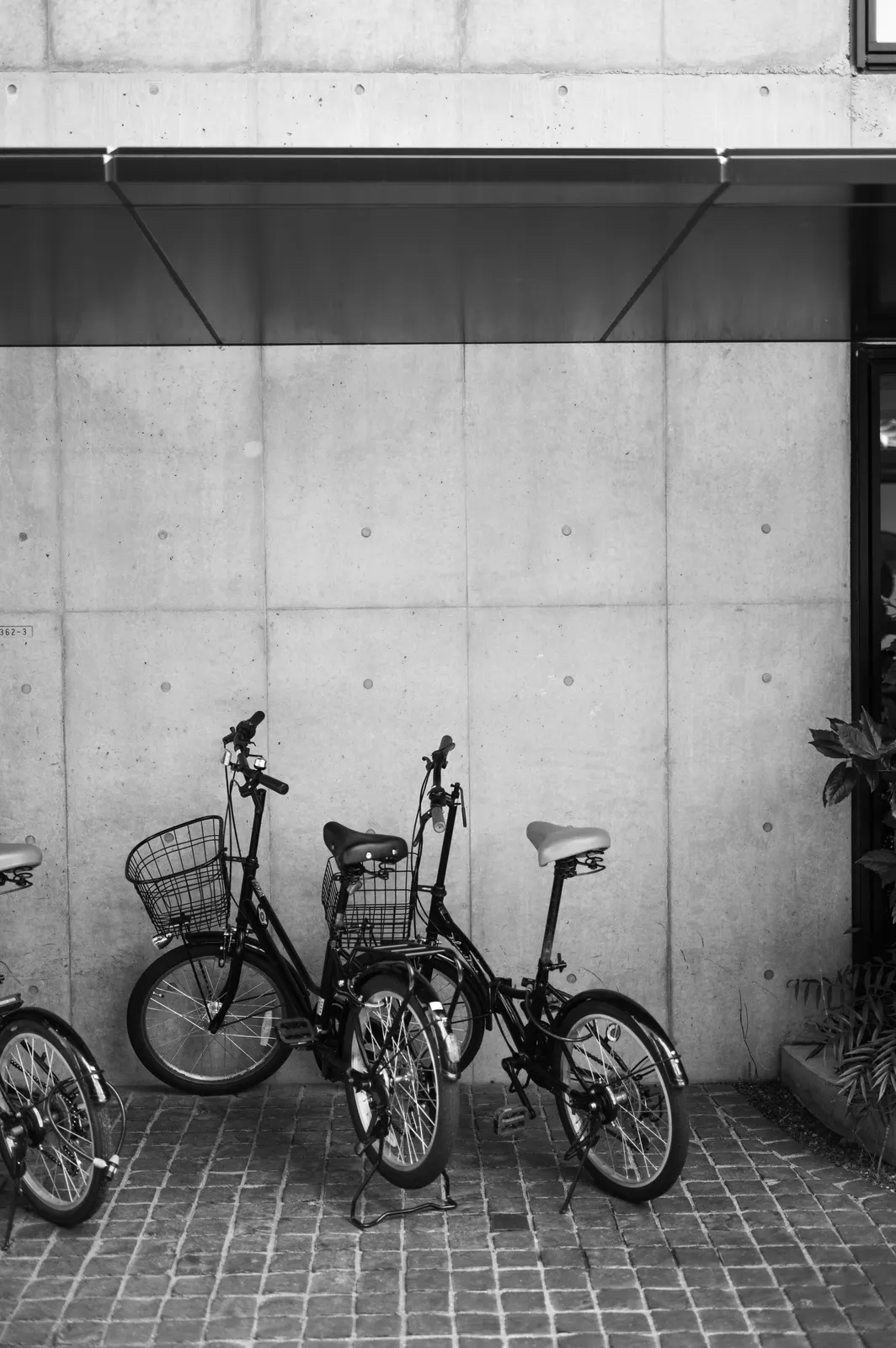 Genji Kyoto : photographie de Jordan Sapally (42/145)