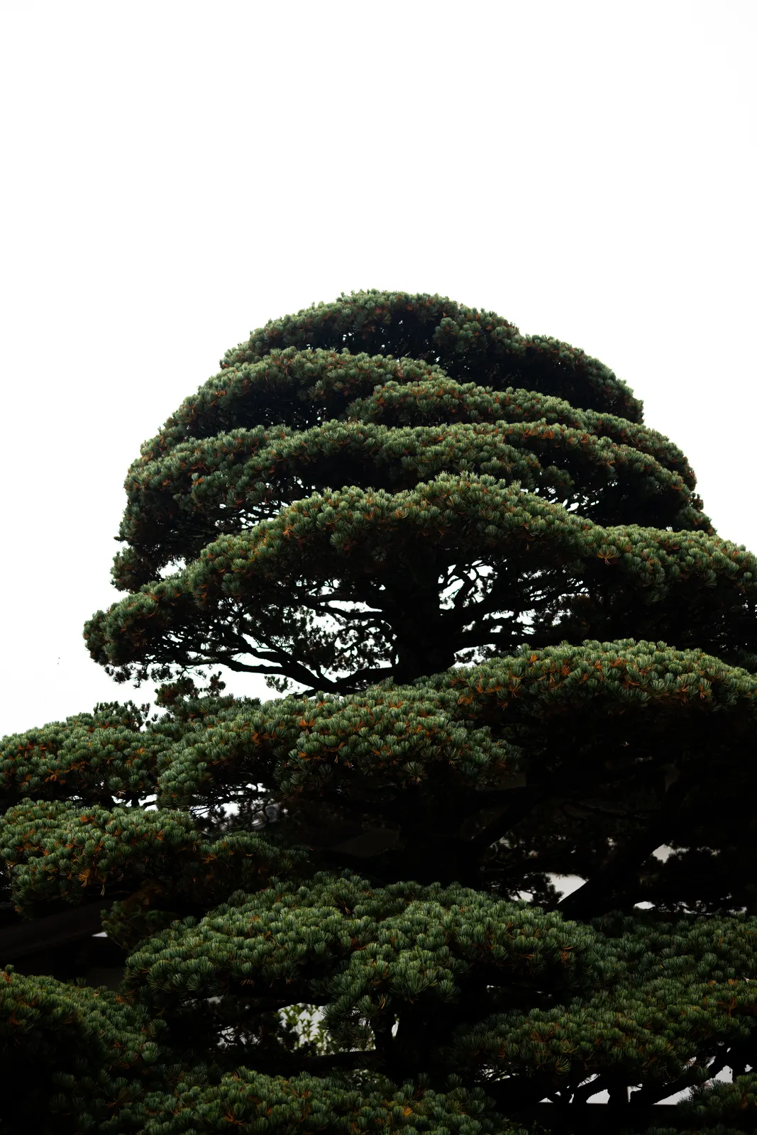 Genji Kyoto : photographie de Jordan Sapally (97/145)