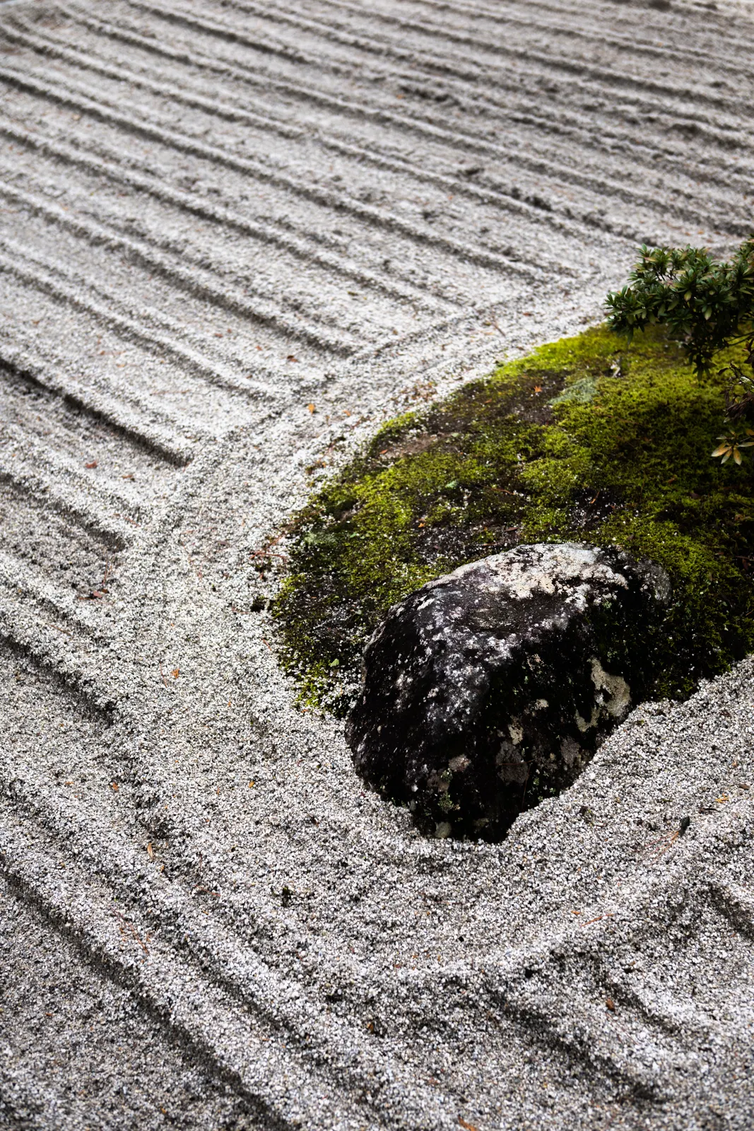 Genji Kyoto : photographie de Jordan Sapally (98/145)