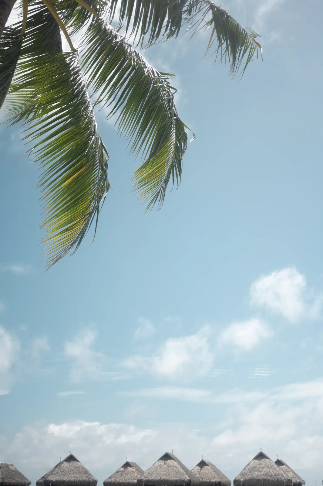 Manava, Moorea: photograph by Jordan Sapally (122/125)