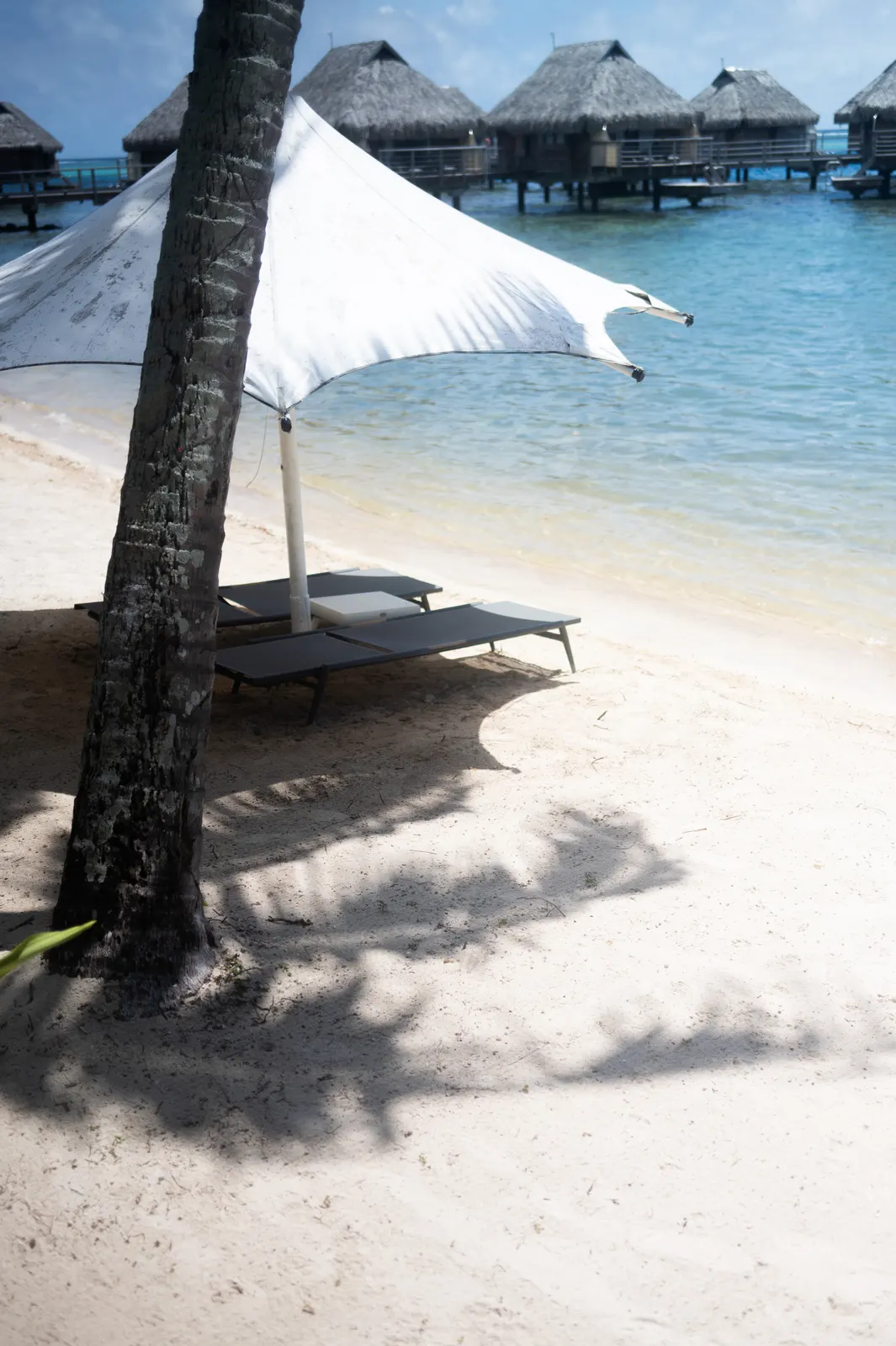 Manava, Moorea: photograph by Jordan Sapally (124/125)