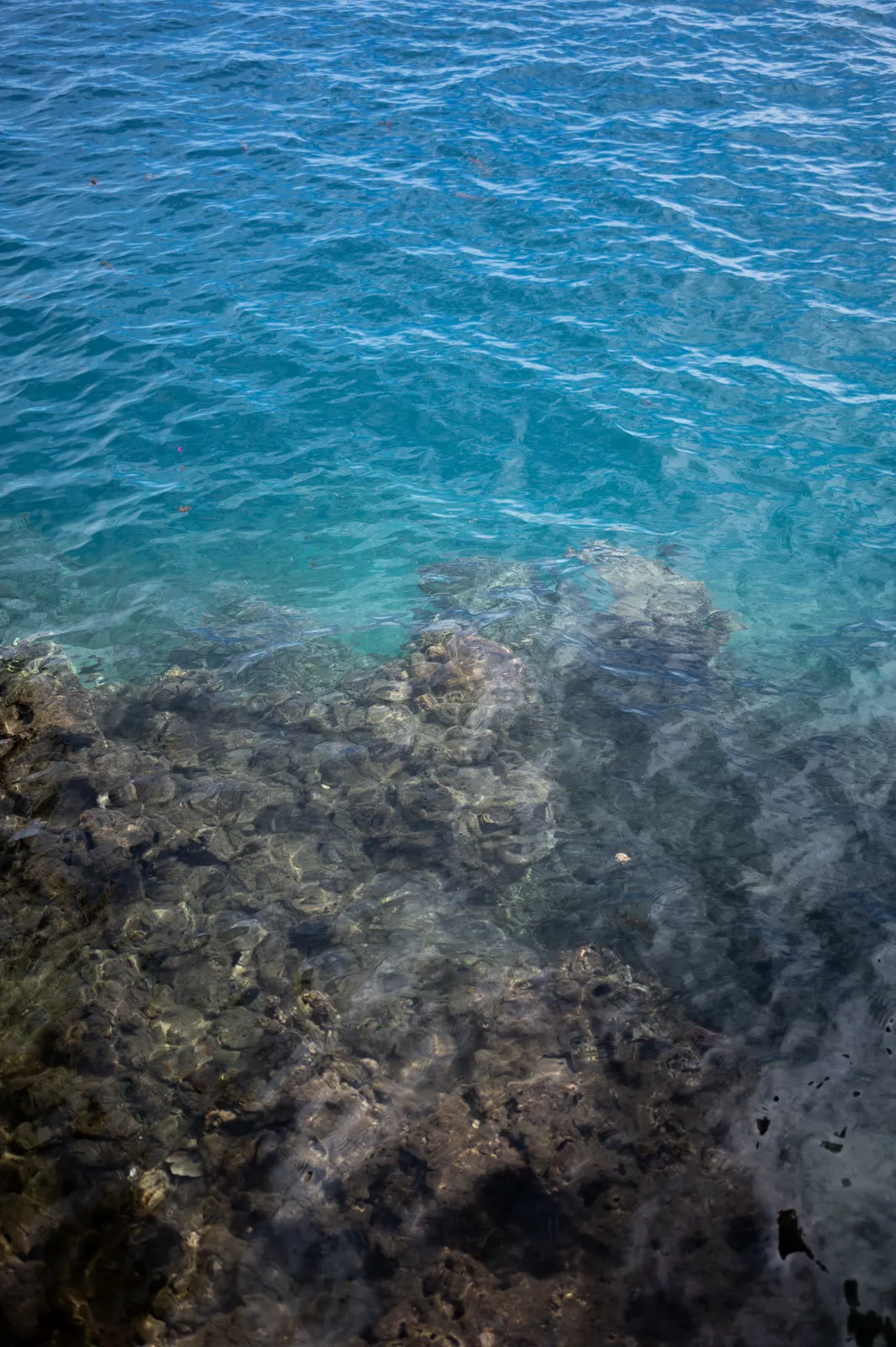 Manava, Moorea: photograph by Jordan Sapally (14/125)