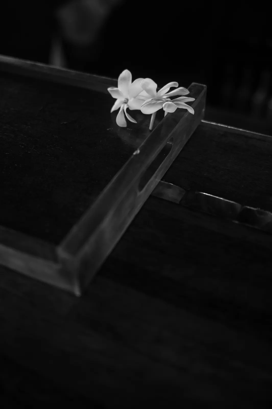 Manava, Moorea: photograph by Jordan Sapally (17/125)